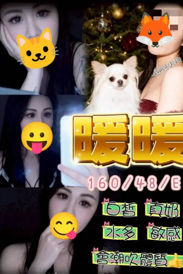 台中定點茶-暖暖