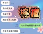 屏東定點茶-檸檬