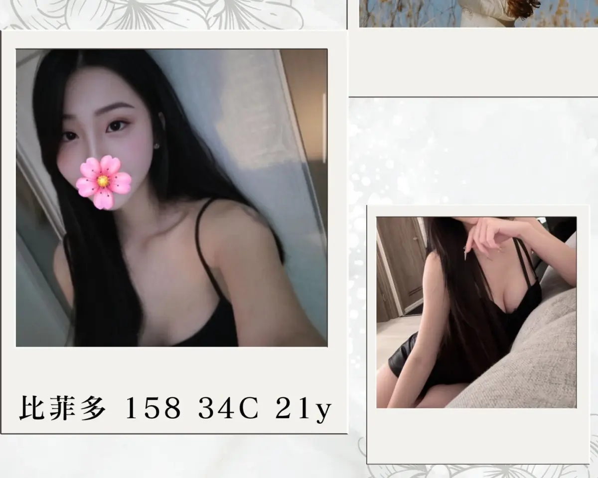 台北外送茶-比菲多 台北外送茶-比菲多