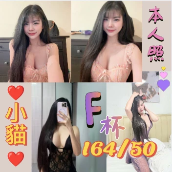 台北定點茶-小貓