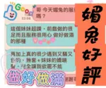 台中定點茶-媚兔