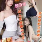 台南定點茶-雨煙