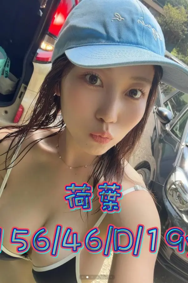台中外送茶-荷葉